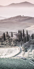 Tuscany Hills Landscape Plakat - Posterbox.no