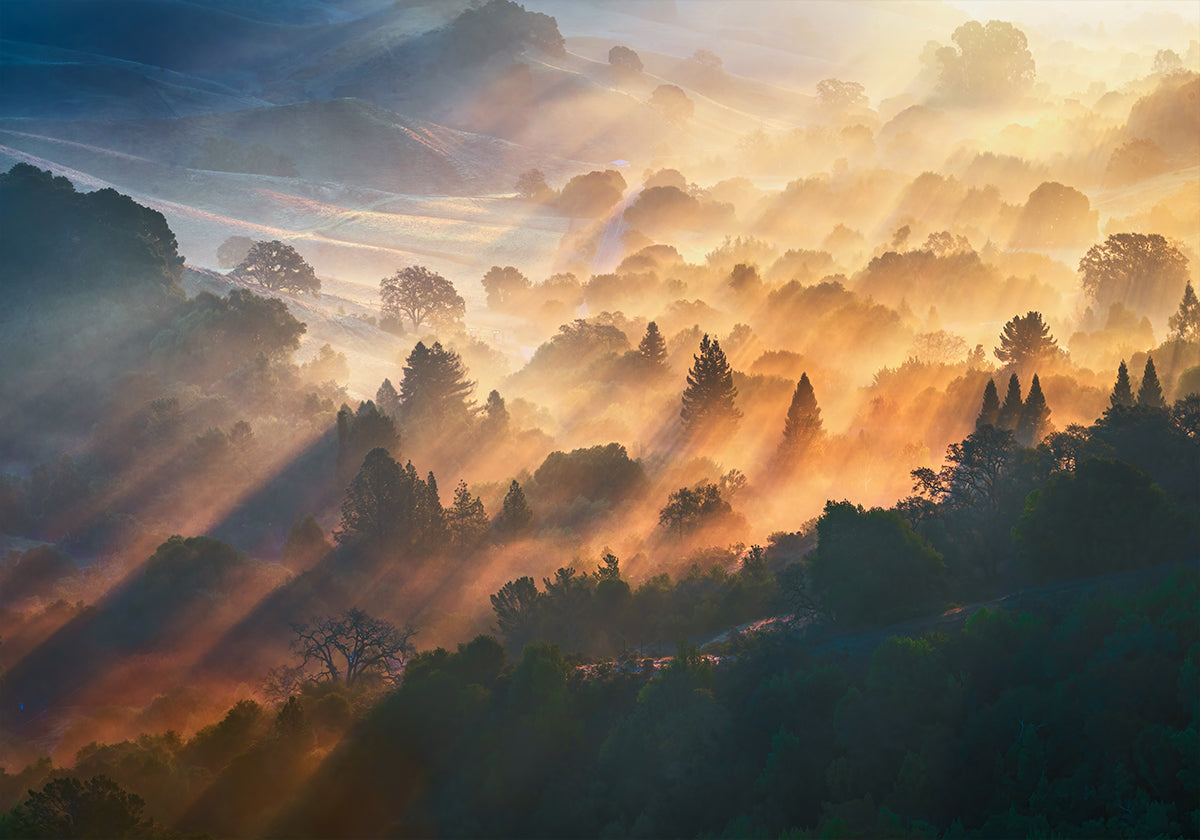 Poster della luce del mattino