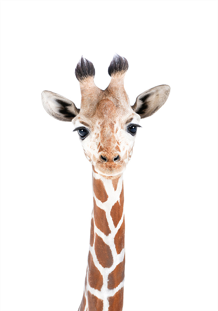 Poster di giraffa per bambini