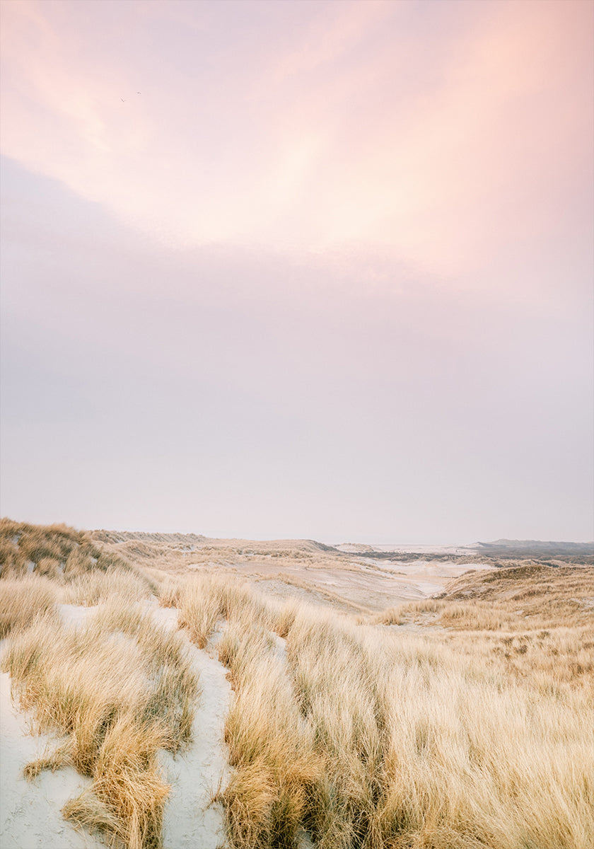 Ameland Dune 1 (NUOVO)
