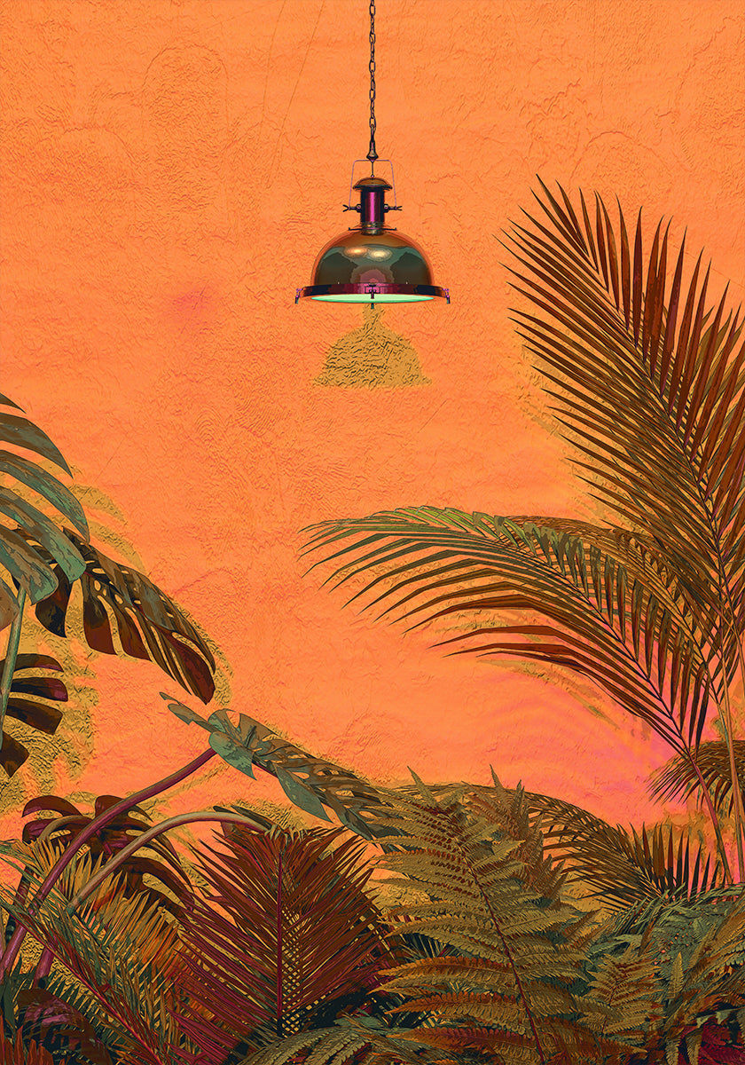 MURO TROPICALE