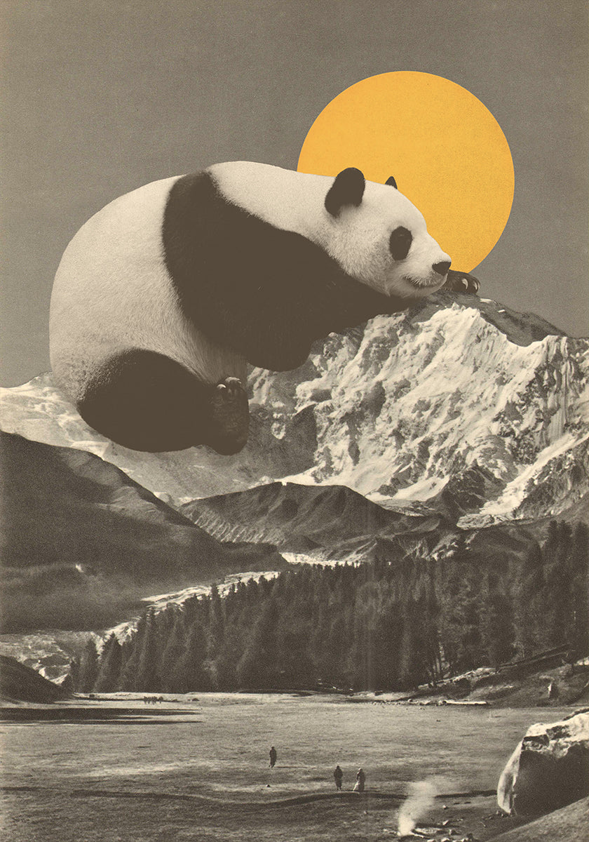 Panda gigante Nap (NUOVO)
