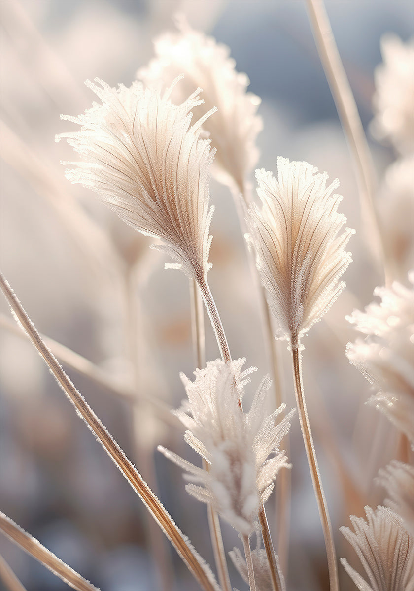 Poster di eleganza glassata