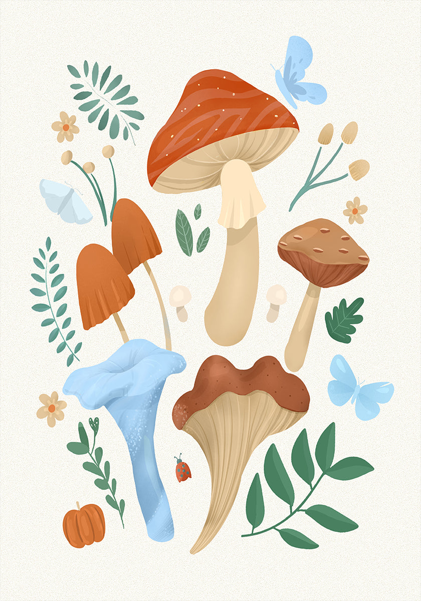 Funghi