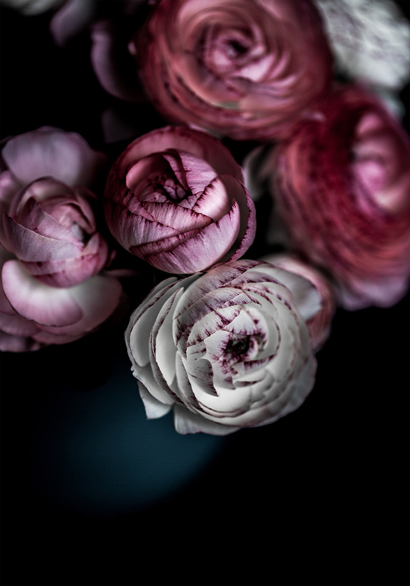Fiori scuri 2