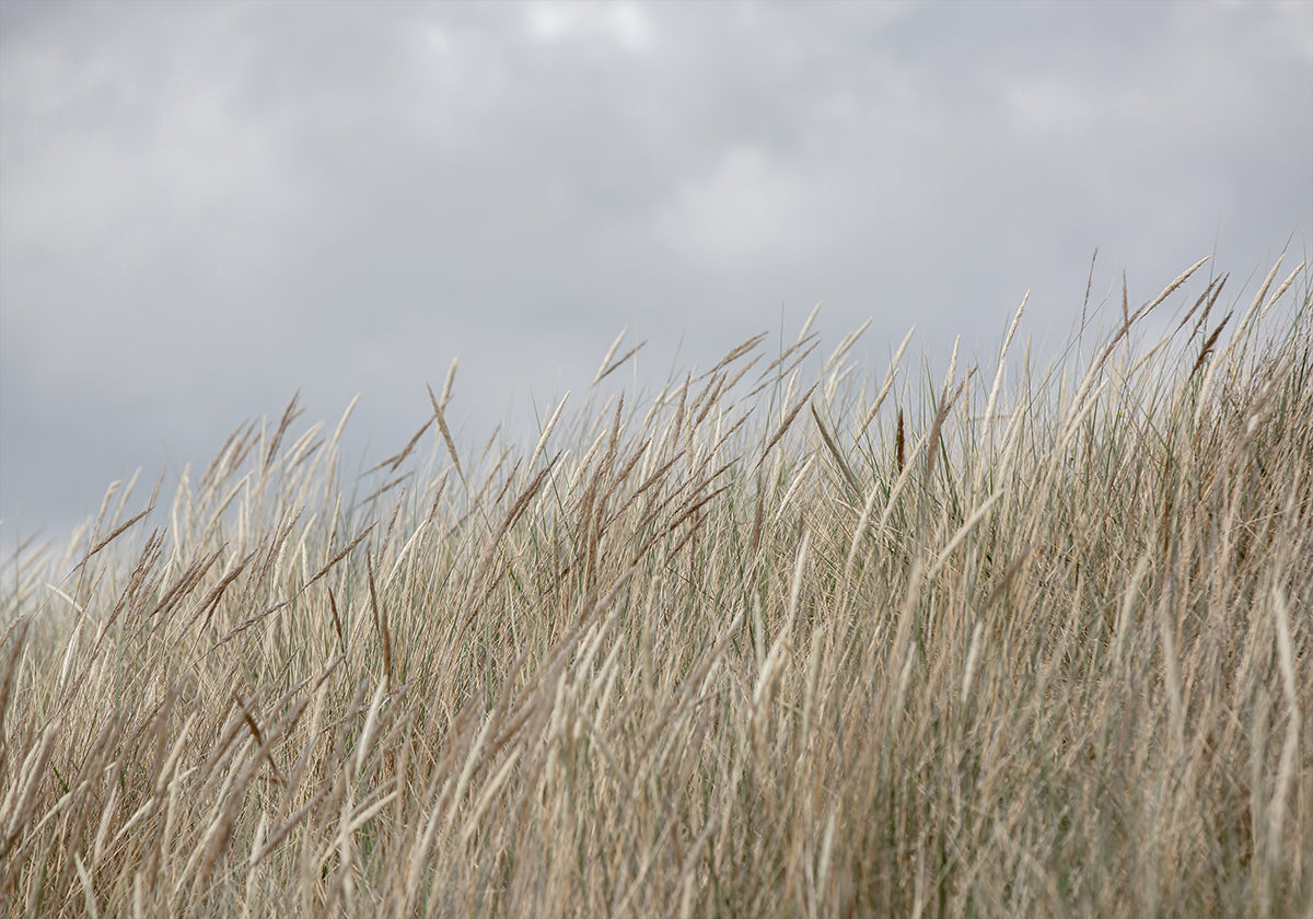 Dune e nuvole