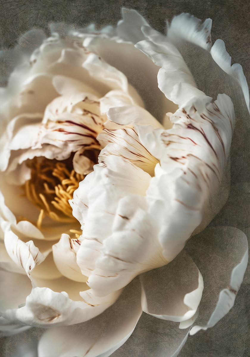 Petali di serenità