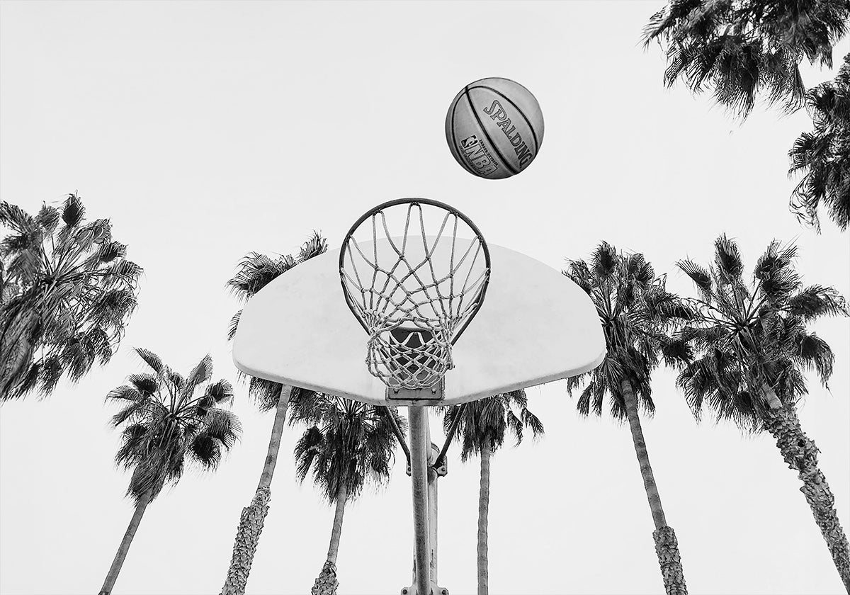 Manifesto di pallacanestro