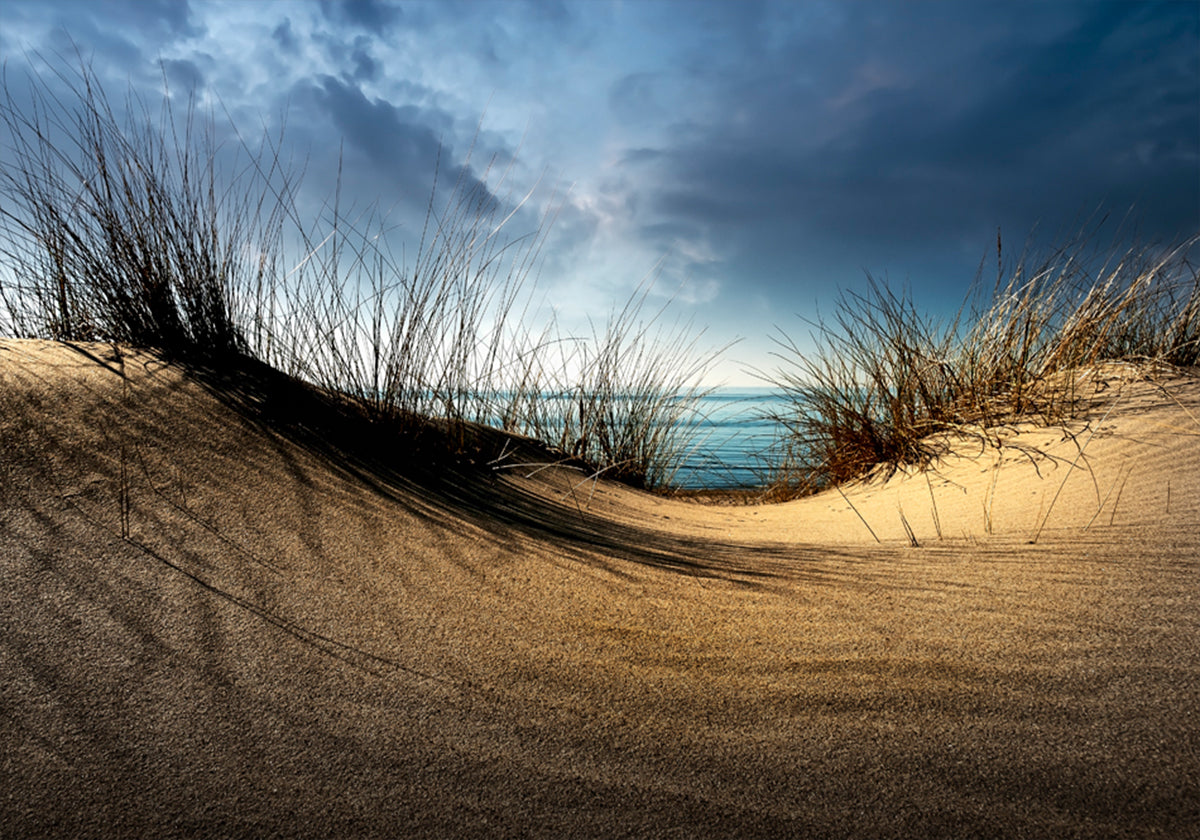 Dune................