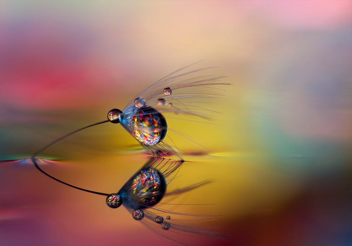 Colora l'oscurità