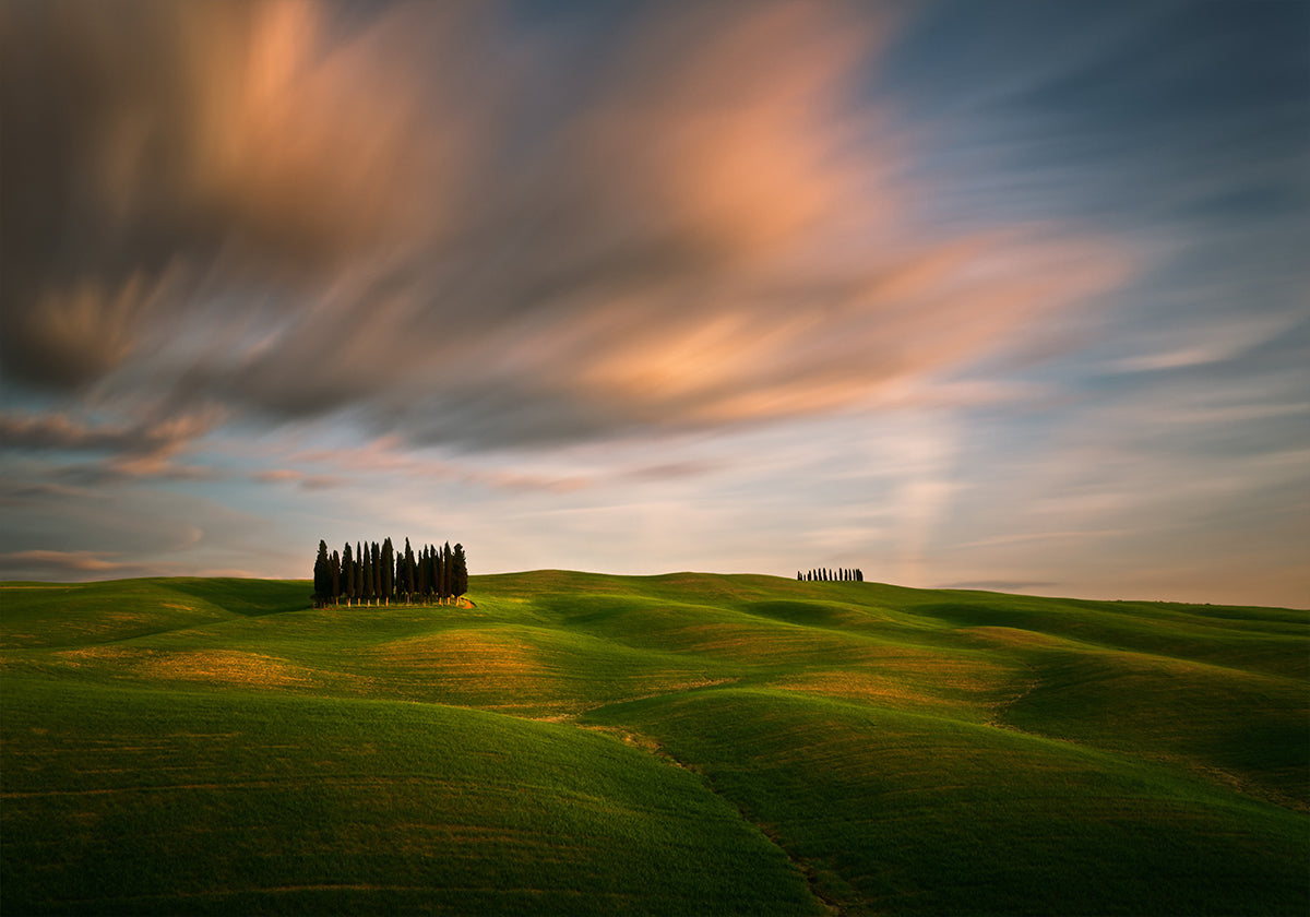 Campi...