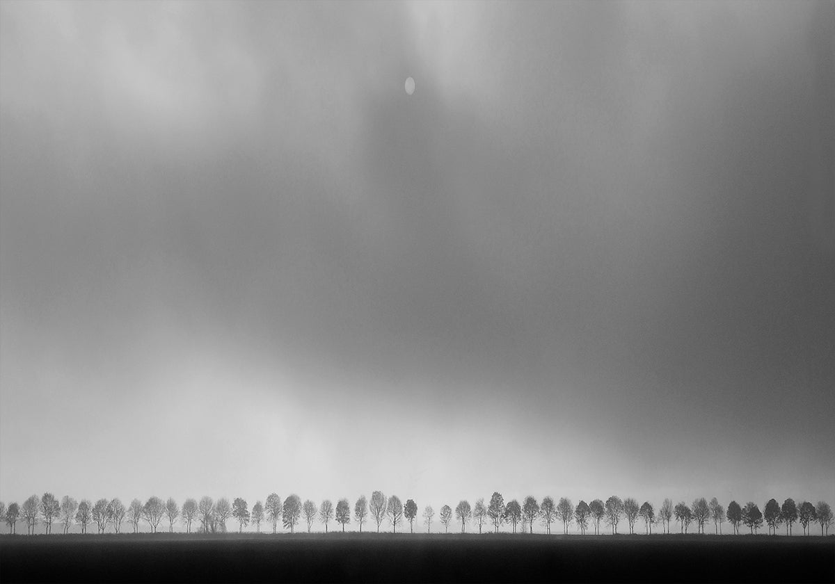 Paesaggio dei polder