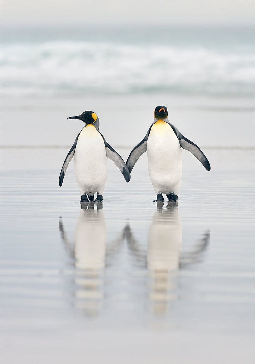 Manifesto degli amici