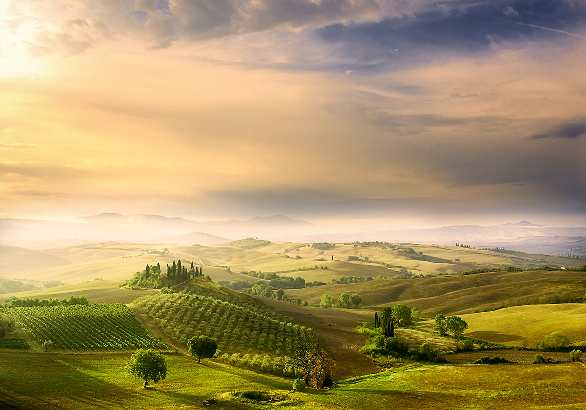 L'alba del Podere Belvedere
