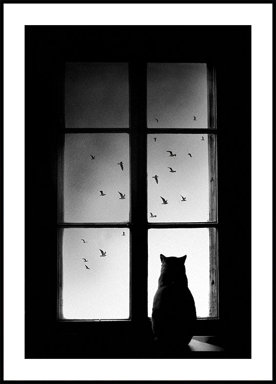 l'inverno sta arrivando Poster