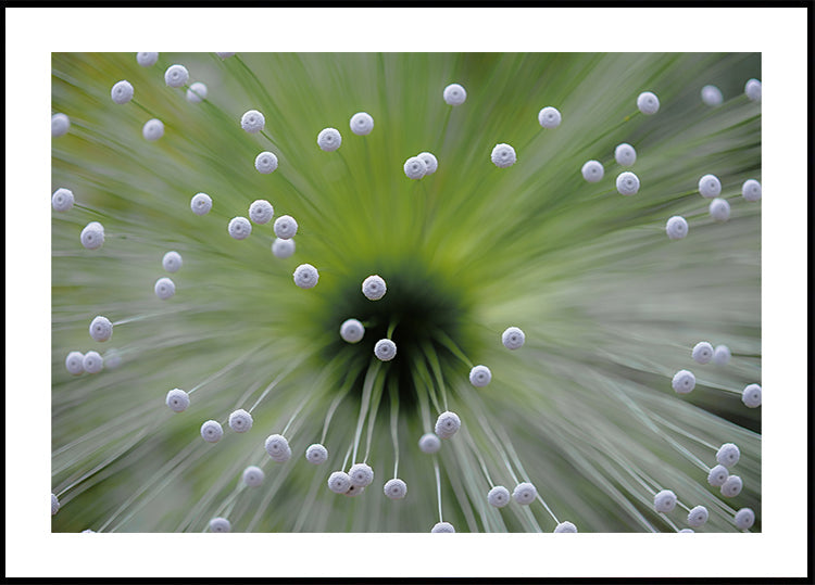 Verde e bianco II