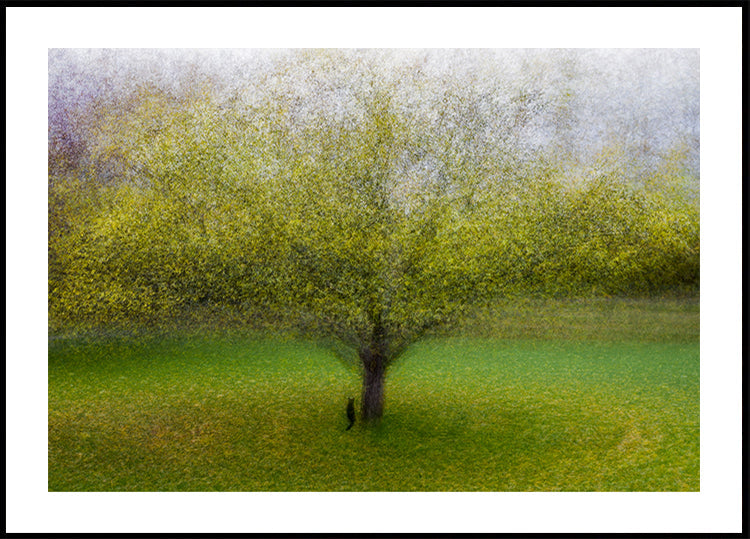 Il gatto dell'albero