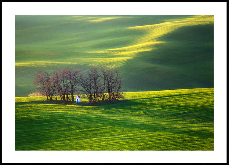 Campi...
