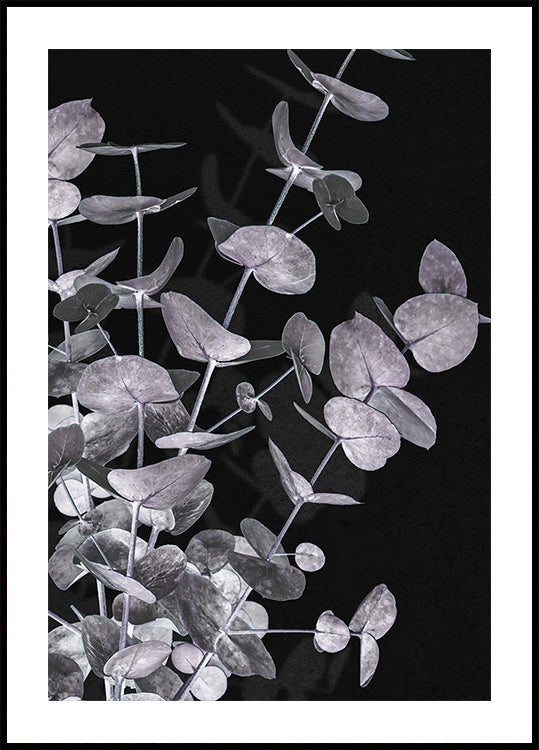 Poster negativo n.3 di eucalipto