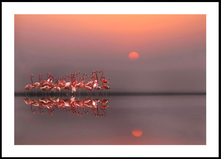 tramonto viola