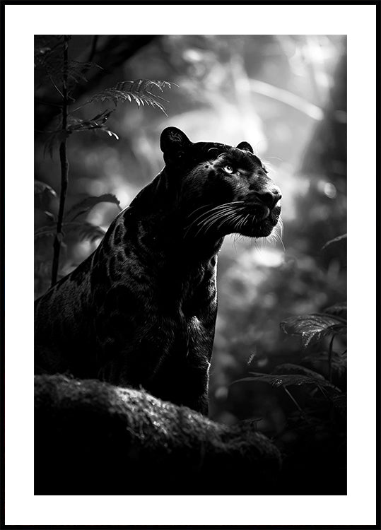 Poster maestoso della pantera nera