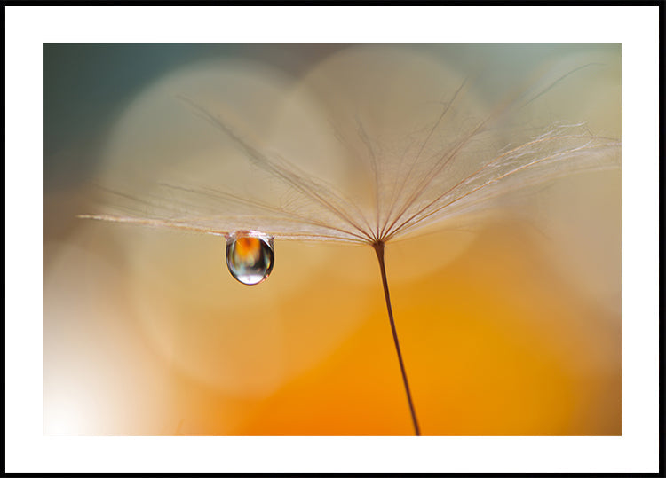 Piccola musica notturna...