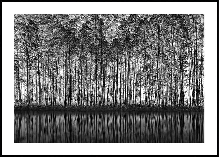 Puntinismo Natura