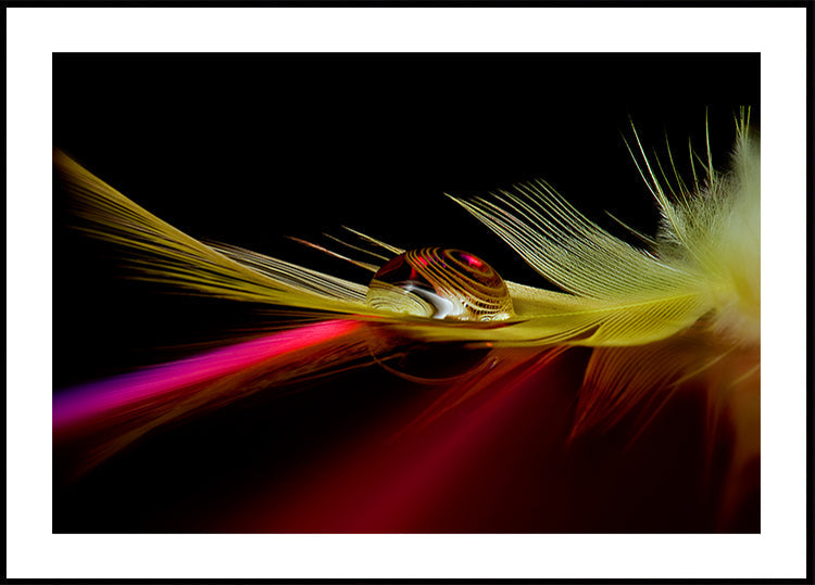Colori in goccia