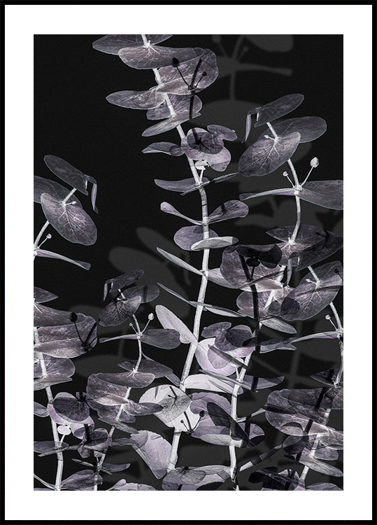 Poster eucalipto negativo n. 2