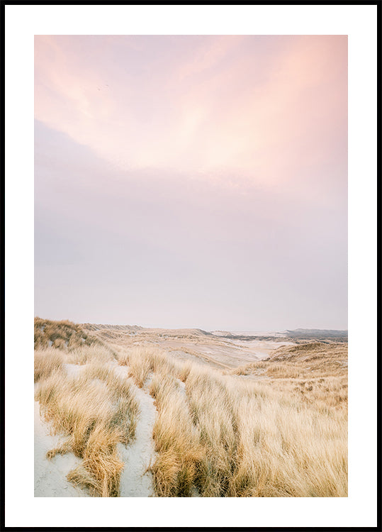 Ameland Dune 1 (NUOVO)