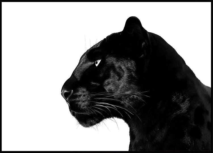 Poster del profilo della Pantera Nera