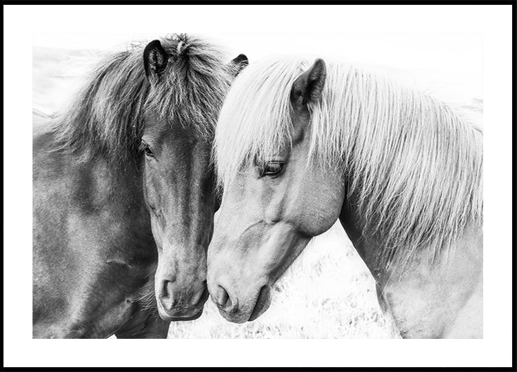Poster di amore del cavallo
