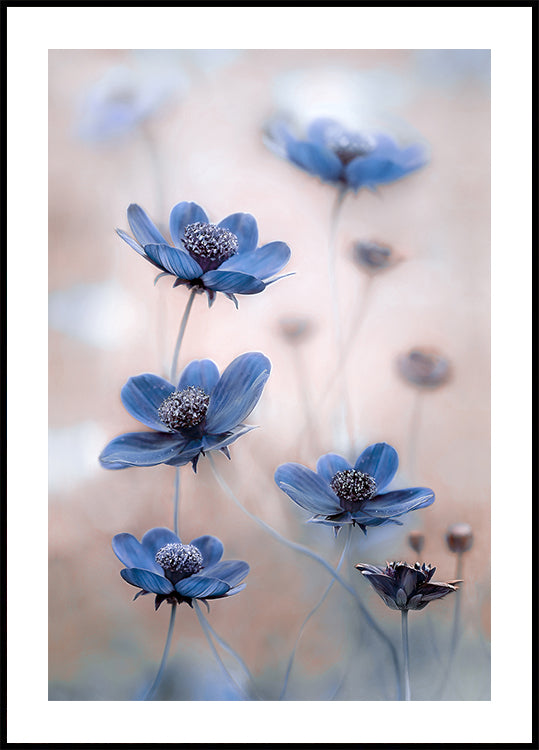 Blu cosmo