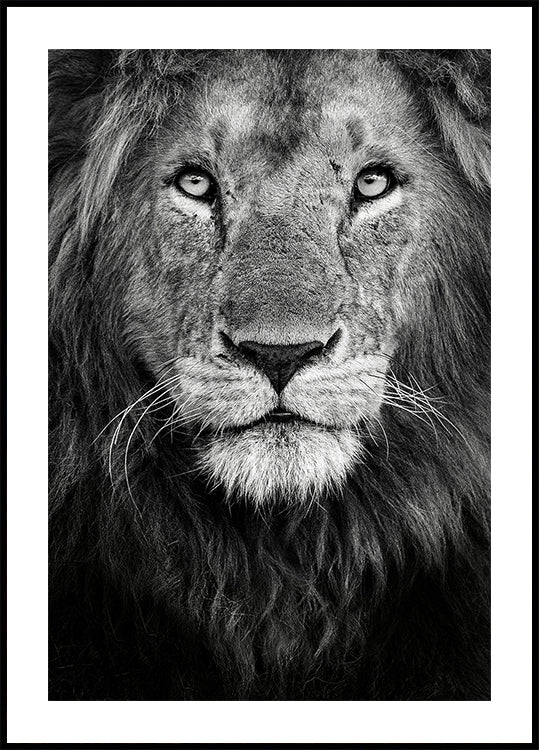 Poster con ritratto reale