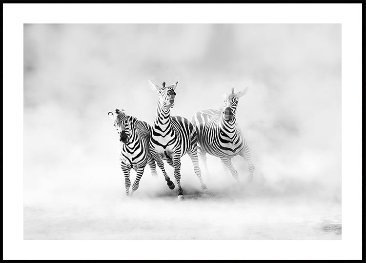 ZEBRE