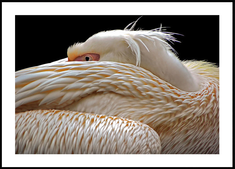 Essere mezzo addormentato...