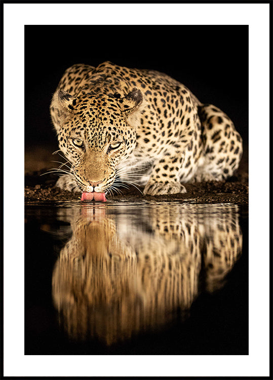 Poster di madre single