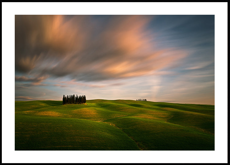 Campi...