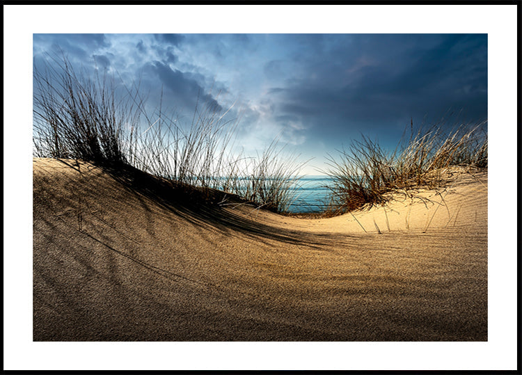 Dune................