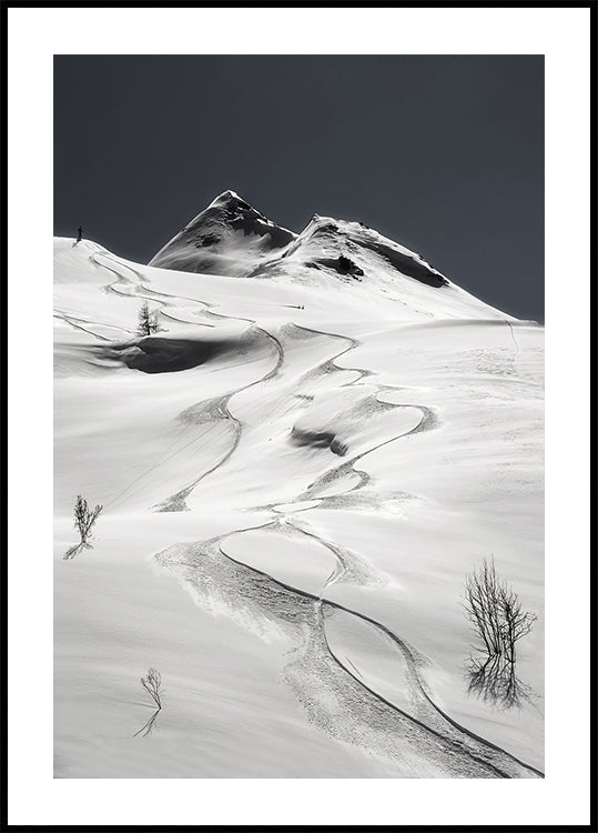 manifesto di freeride