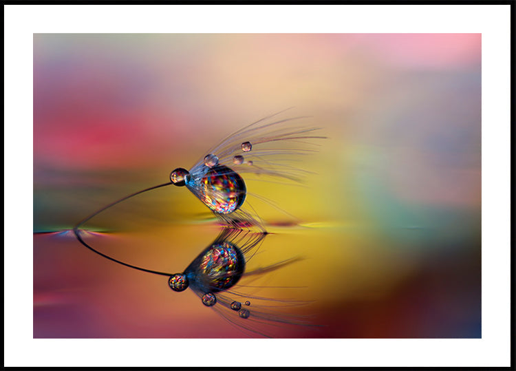 Colora l'oscurità