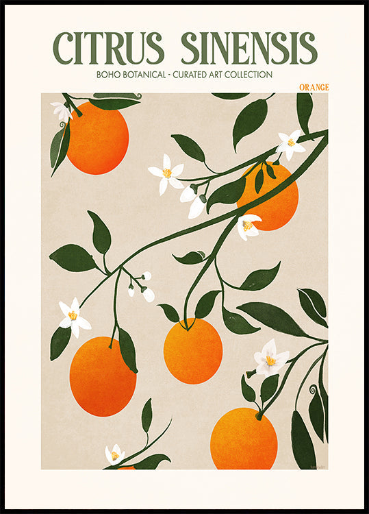 Poster di eleganza arancione