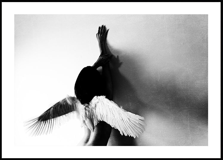 non volare