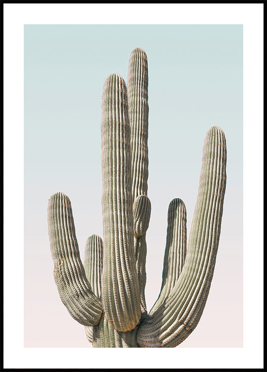 Manifesto del Saguaro