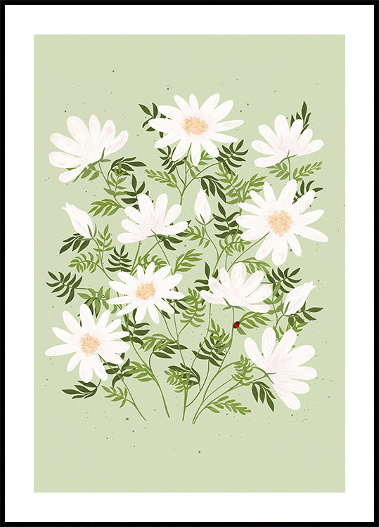 Fiori di coccinella