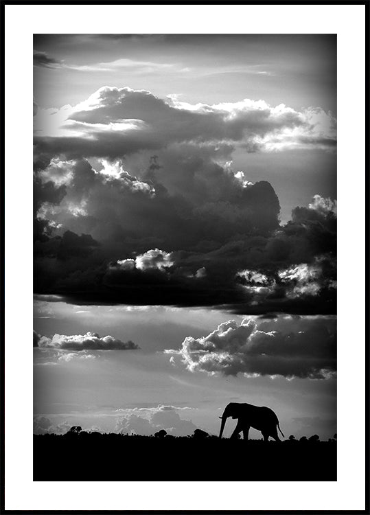 Cammina sotto un cielo africano