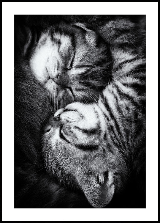 Yin e Yang