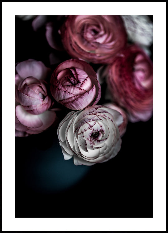 Fiori scuri 2