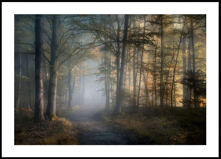 Poster della sinfonia autunnale