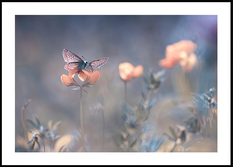 La Signora di Lothlorien